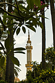 Egypt, Luxor, Minaret tower seen from behind trees