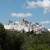 Italy, Apulia, Brindisi Province, Ostuni, Historical town on hill