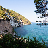 Italy, Apulia, Gargano, Baia Delle Zagare, Rocky coast of Adriatic Sea