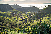 Landscape in Arure Valley, La Gomera, Canary Islands, Spain