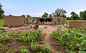 Aberewanko, traditional Lobi family kraal in mud building architecture near Sawla in the Savannah Region in northern Ghana in West Africa