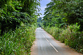 Country road in the rainforest landscape near Hohoe in the Volta Region in eastern Ghana in West Africa