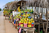 Stalls selling mangoes in the Mango Region near Somanya in the Eastern Region of East Ghana in West Africa