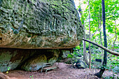 Sacred Grove of Tanoboase in the historic Brong Ahafo Region in the Bono East Region of central Ghana in West Africa