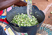 Verarbeitung und Verkauf von Okraschoten auf dem Wochenmarkt in Techiman in der Bono-East-Region im Zentrum von Ghana in Westafrika