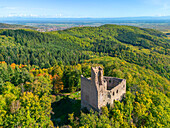 Castle ruins of Spesburg near Andlau, Bas-Rhin, Vosges, Route des Vins d'Alsace, Alsatian Wine Route, Grand Est, Alsace-Champagne-Ardenne-Lorraine, France