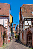 Gasse in Riquewihr, Reichenweier, Haut-Rhin, Route des Vins d'Alsace, Elsässer Weinstraße, Grand Est, Frankreich