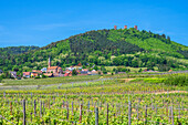 Blick auf Husseren-les-Chateaux mit den Burgen Drei Egsen (Drei Exen) bei Eguisheim, Haut-Rhin, Route des Vins d'Alsace, Elsässer Weinstraße, Grand Est, Alsace-Champagne-Ardenne-Lorraine, Frankreich