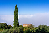 Small house on the outskirts of Montalcino above the clouds, Tuscany, Italy