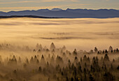 Morning fog over the Isar valley near Wolfratshausen, Bavaria, Germany