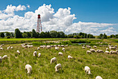 Campen lighthouse, Germany's highest lighthouse, Krummhörn, East Friesland, North Sea, Lower Saxony, Germany