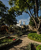 Blick vom botanischen Garten im Castelo da Tavira zur Kirche Santa Maria do Castelo, Tavira, Algarve, Portugal