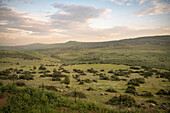 green landscape near the Sea of Galilee, Israel, Middle East, Asia