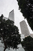 modern office buildings on Rothbility Boulevard, Tel Aviv, Israel, Middle East, Asia