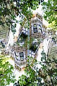 Double exposure of a Victorian style wooden residential building behind a tree with fresh green leaves on Hayden street in San Francisco, California.