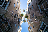 Doppelbelichtung von Wohngebäuden und einer Palme in der Hayden Street in San Francisco, Kalifornien.