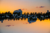 Double exposure of the palmtrees lining Miami Beach, Florida