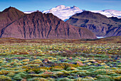 Berglandschaft mit dem Vulkan Hvannadalshnúkur auf Island, Island.