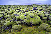 Vulkanlandschaft mit moosbewachsenen Lavasteinen auf Island, Island.