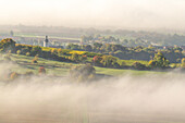 Nebelstimmung bei Markt Einersheim, Kitzingen, Unterfranken, Franken, Bayern, Deutschland, Europa