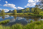 Pulvermoos bei Unterammergau, Blick über einen Teich zum Kofel, Bayern, Deutschland