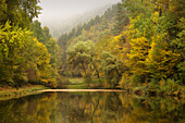 Paddelweiher, near Hauenstein, Palatinate Forest, Palatinate, Rhineland-Palatinate, Germany