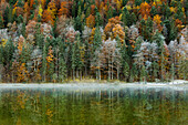 Ferchensee, bei Mittenwald, Wettersteingebirge, Bayern, Deutschland