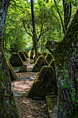 Cusp line path in Orscholz, Saarland, Germany