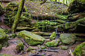 Hexenklamm, Rheinland-Pfalz, Deutschland