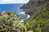 Coastline at Punta del Frontón, Punta Del Hidalgo, Tenerife, Canary Islands, Spain