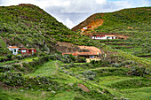 Terrassenfelder beim Höhlendorf Chinamada, Teneriffa, Kanarische Inseln, Spanien 
