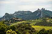 Malerisches Bergdorf und Weinberge, Suzette, Dentelles de Montmirail, Département Vaucluse, Provence, Provence-Alpes-Côte d'Azur, Frankreich