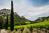 Dentelles de Montmirail, Vaucluse Department, Provence, Provence-Alpes-Cote dAzur, France