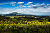 Mittelalterliches Bergdorf und Mont Ventoux, Le Barroux, Dentelles de Montmirail, Département Vaucluse, Provence, Provence-Alpes-Côte d'Azur, Frankreich