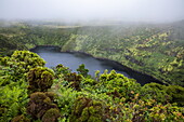 Lush vegetation and crater lake, near Lajes das Flores, Flores Island, Azores, Portugal, Europe