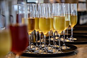 Champagne is served during the captain&#39;s dinner in the restaurant of river cruise ship Excellence Empress (travel agency Mittelthurgau) on the Danube, at Ybbs ad Donau, Wachau, Lower Austria, Austria, Europe