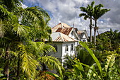 Palmen und Gebäude im Howelton Estate, in der Nähe von Castries, St. Lucia, Karibik