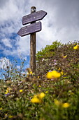 Signpost for hiking trails, Garajonay National Park, La Gomera, Canary Islands, Spain, Europe