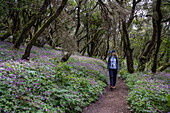 Wanderausflug durch mystischen Wald mit Wildblumen, Nationalpark Garajonay, La Gomera, Kanarische Inseln, Spanien, Europa