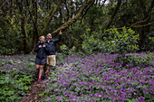 Wanderausflug durch mystischen Wald mit Wildblumen, Nationalpark Garajonay, La Gomera, Kanarische Inseln, Spanien, Europa