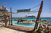 Costa Maya-Schild über Delphinbecken im Einkaufzentrum New Mahahual, Expeditionskreuzfahrtschiff World Voyager (nicko cruises) Costa Maya, Quintana Roo, Mexiko, Karibik