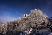 Ruine der Burg Drachenfels im Siebengebirge, Nordrhein-Westfalen, Deutschland