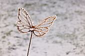 Schmetterling aus Metall als Gartendeko freigestellt im Winter übersät mit Eiskristallen aufgenommen mit focus stacking, Deutschland