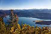 Walchensee, Blick vom Herzogstand, Bayerische Voralpen, Alpen, Oberbayern, Deutschland