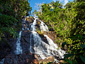 Waterfall near Lagoa Encantada, Coastal Rainforest, Mata Atlantica, Bahia, Brazil South America