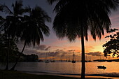 Silhouette von Kokospalmen, Segelboote vor Anker am Strand von L'Anse Aux Epines bei Sonnenuntergang, in der Nähe von Saint George's, Saint George, Grenada, Karibik