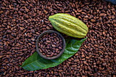 Still life with cocoa beans and cocoa pod at Finca Kobo Chocolate Farm, near Barrigones, Puntarenas, Costa Rica, Central America