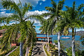 Aerial view from expedition cruise ship World Voyager (nicko cruises) seen through palm trees, Playa Flamingo, Guanacaste, Costa Rica, Central America
