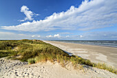 Sanddünen am Strand von Børsmose, Süddänemark, Dänemark, Europa