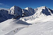 Pisten im Skigebiet Sulden mit Königsspitze und Ortler, Südtirol, Trentino, Italien